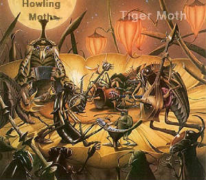 Howling Moth 1988